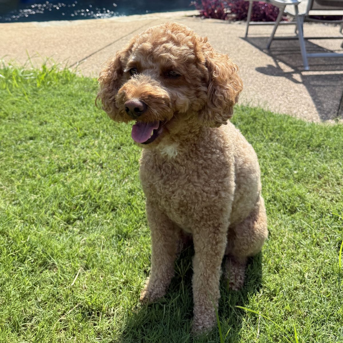 Maggie